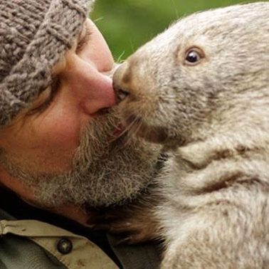 Wombat Care Photo